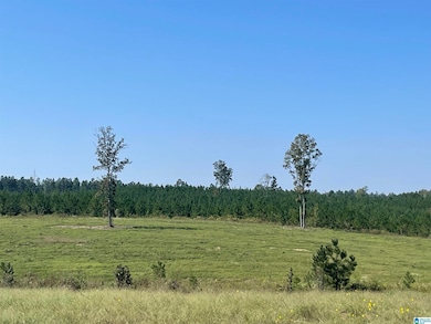 3679 Chelsea Rd, Columbiana, AL 35051 - photo 6