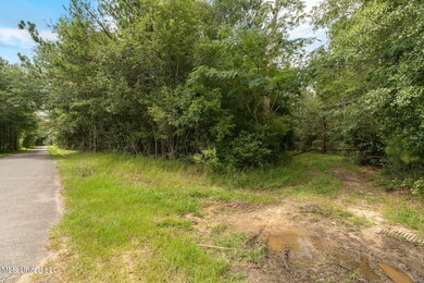 Herman_Ladner_Road_Lot_9-5