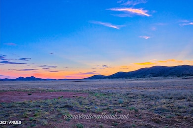 Screen Shot 2017-07-24 at 10.10.05 PM