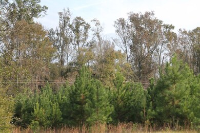 TBD U S 280 W, Americus, GA 31709 - photo 6