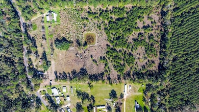 26848 S Satsuma Rd, Livingston, LA 70754 - photo 3