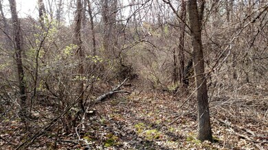 IMG_20170412_173257795