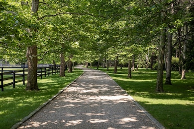 MEDIUM_RES-HIGH_RES_001_240805_EJ_blue_h