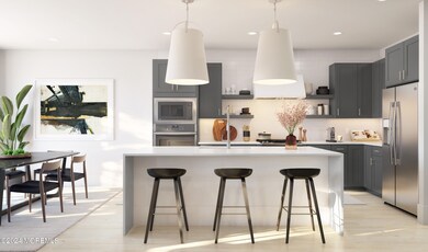 Kitchen in grey