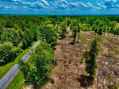 Expose Rd unit LotWP001, Columbia, MS 39429 - photo 2