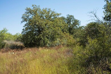 TBD County Road 149, Brownwood, TX 76801 - photo 7