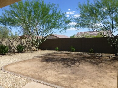 Big Backyard