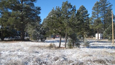 IMG_1938