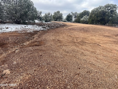 1847 Rocky Bottom Place, Show Low, AZ 85901 - photo 6