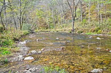 3617 Lonesome Mountain Rd, Marshall, NC 28753 - photo 6