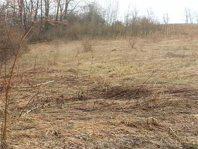 Lot 1 Davis Hills Dr, Verona, WI 53593 - photo 7