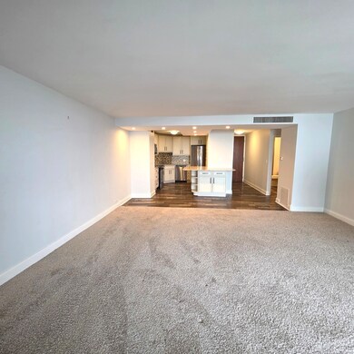 Malibu East Condominium unit 35F, Chicago, IL 60660 - photo 4