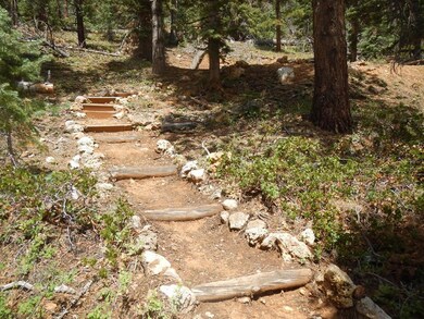 Pathway to Zip Line