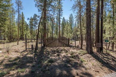 3900 Lot Wagon Trail_ (3)