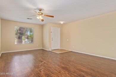 0006-06 Orchard 3672