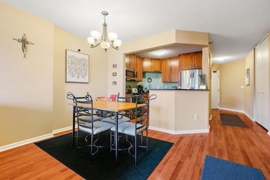 401 S 1st St unit 213, Minneapolis, MN 55401 - photo 7