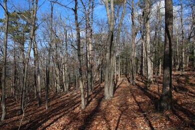 0 Supinlick Ridge Rd unit LotWP002, Mount Jackson, VA 22842 - photo 5