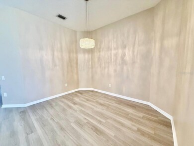 22320 Red Jacket Ln, Land O Lakes, FL 34639 - photo 5