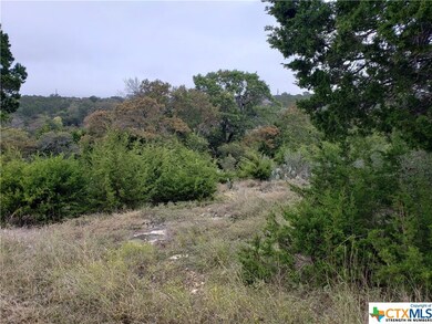 15831 Loveta Lane Ct, Temple, TX 76502 - photo 5