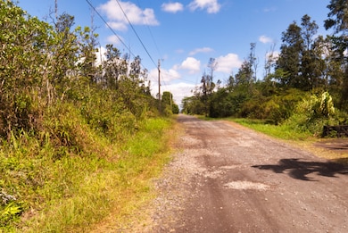 0 36th Ave unit 723518, Keaau, HI 96749 - photo 4