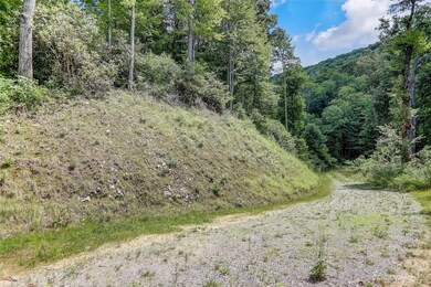 0 Centurian Ln unit 26 CAR4057489, Maggie Valley, NC 28751 - photo 5