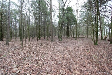 23400 Barr Rd, Winslow, AR 72959 - photo 4
