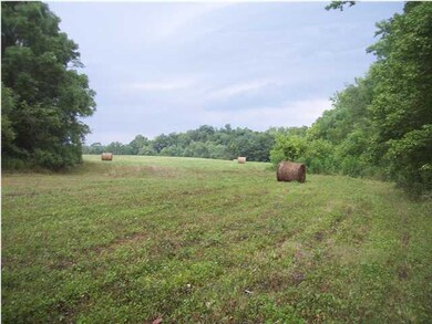 245 Huffman Rd unit 3,4, Harrodsburg, KY 40330 - photo 4