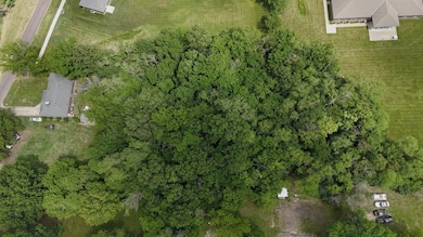 Shawna Lot (Top)