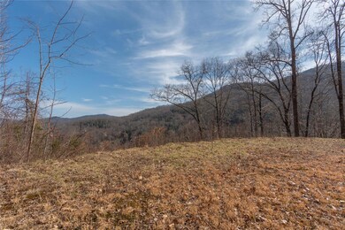 2220 Tilley Creek Rd unit Tract 3, Cullowhee, NC 28723 - photo 2