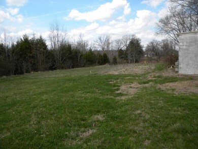 Back yard view-nice large lot