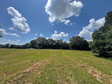 15ACRES Monk House Rd, Somerville, TN 38068 - photo 3