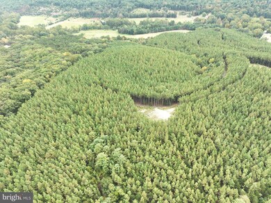 26.89 AC N Texas Rd, Delray, WV 26714 - photo 6