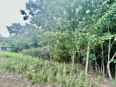 51 Summer, Kimberling City, MO 65686 - photo 3