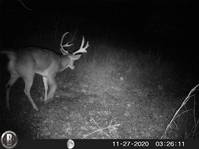 27014 U S Route 377, Gordonville, TX 76245 - photo 7