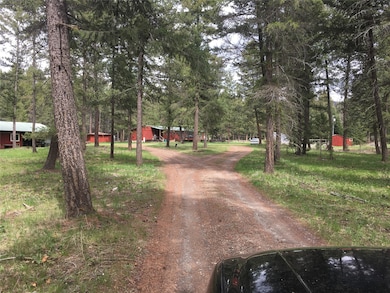 602 Upper Lynch Creek Rd, Plains, MT 59859 - photo 4