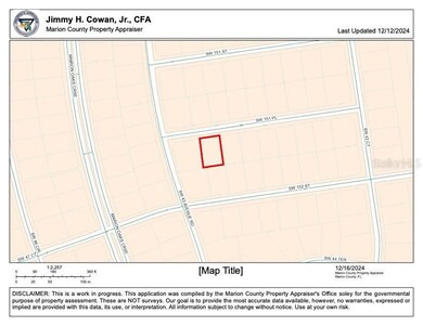 0 SW 151st Place unit MFRO6273638, Ocala, FL 34473 - photo 4