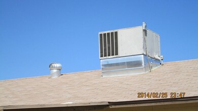 IMG_1271