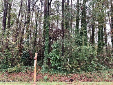 318 Lakewood Dr, Jacksonville, NC 28546 - photo 2