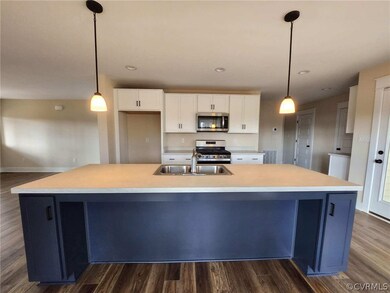 17010 Addie Rose Ln, Hanover, VA 23005 - photo 5