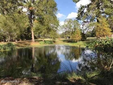 pond