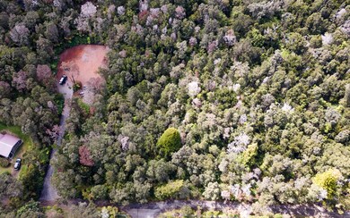 Aerial of lot shows location to recently cleared adjacent lot to the SE.