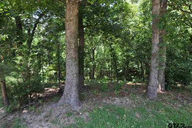 4005 Stonegate Blvd, Tyler, TX 75703 - photo 5