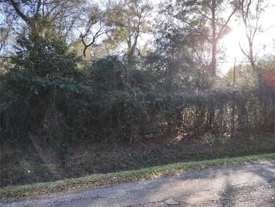 00 Seminole, Magnolia, TX 77354 - photo 5