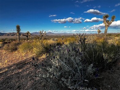 0 Powerline Rd unit IG25221453, Lucerne Valley, CA 92356 - photo 2