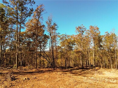 0 Hardin Store Rd unit 3694748, Rutherfordton, NC 28139 - photo 7