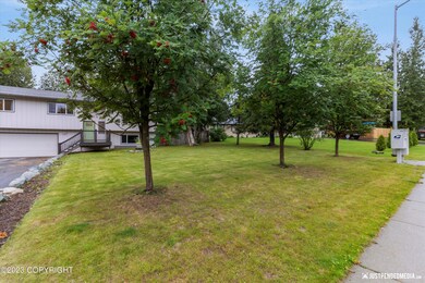 02-DSC0009591