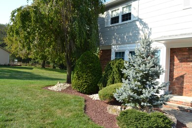 Professional Landscaping
