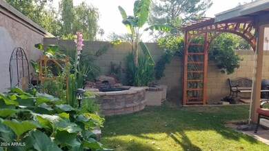 Lush backyard