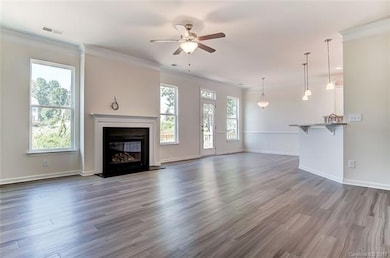 300 Hydrangea Dr unit LOT 383, Clover, SC 29710 - photo 5