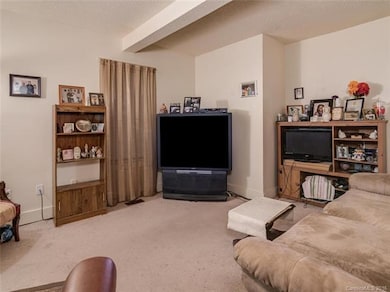 952 W Chapel Rd, Asheville, NC 28803 - photo 3